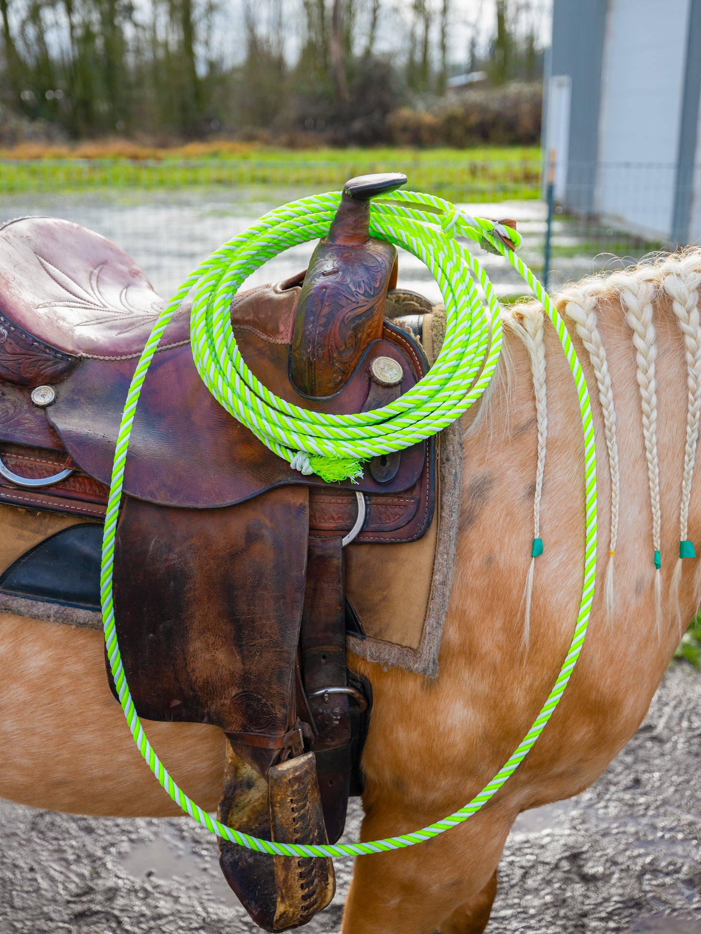 Practice Ropes 11mm
